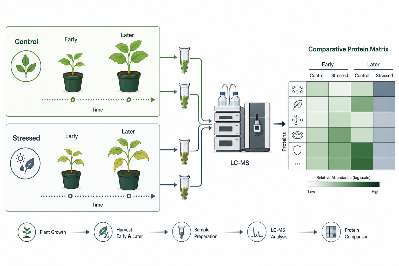 Treatment and time-point planning for plant abiotic stress proteomics Treatment and time-point planning for plant abiotic stress proteomics