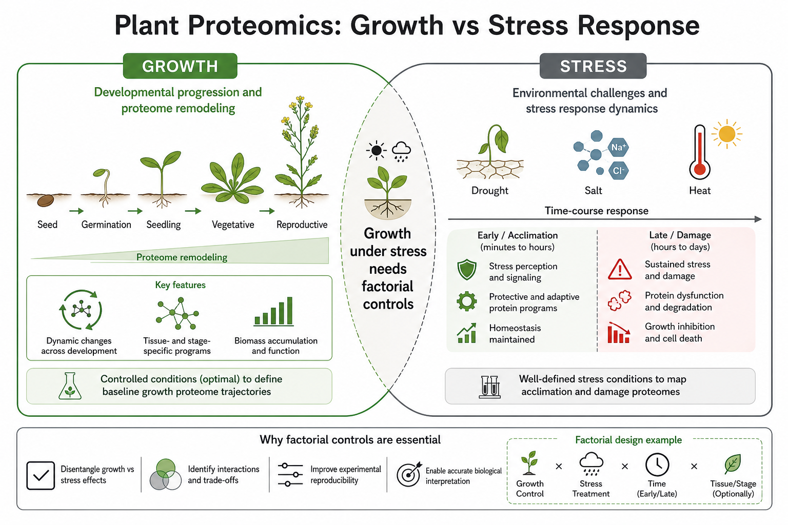 How plant proteomics supports growth remodeling and stress response questions in matched designs How plant proteomics supports growth remodeling and stress response questions in matched designs