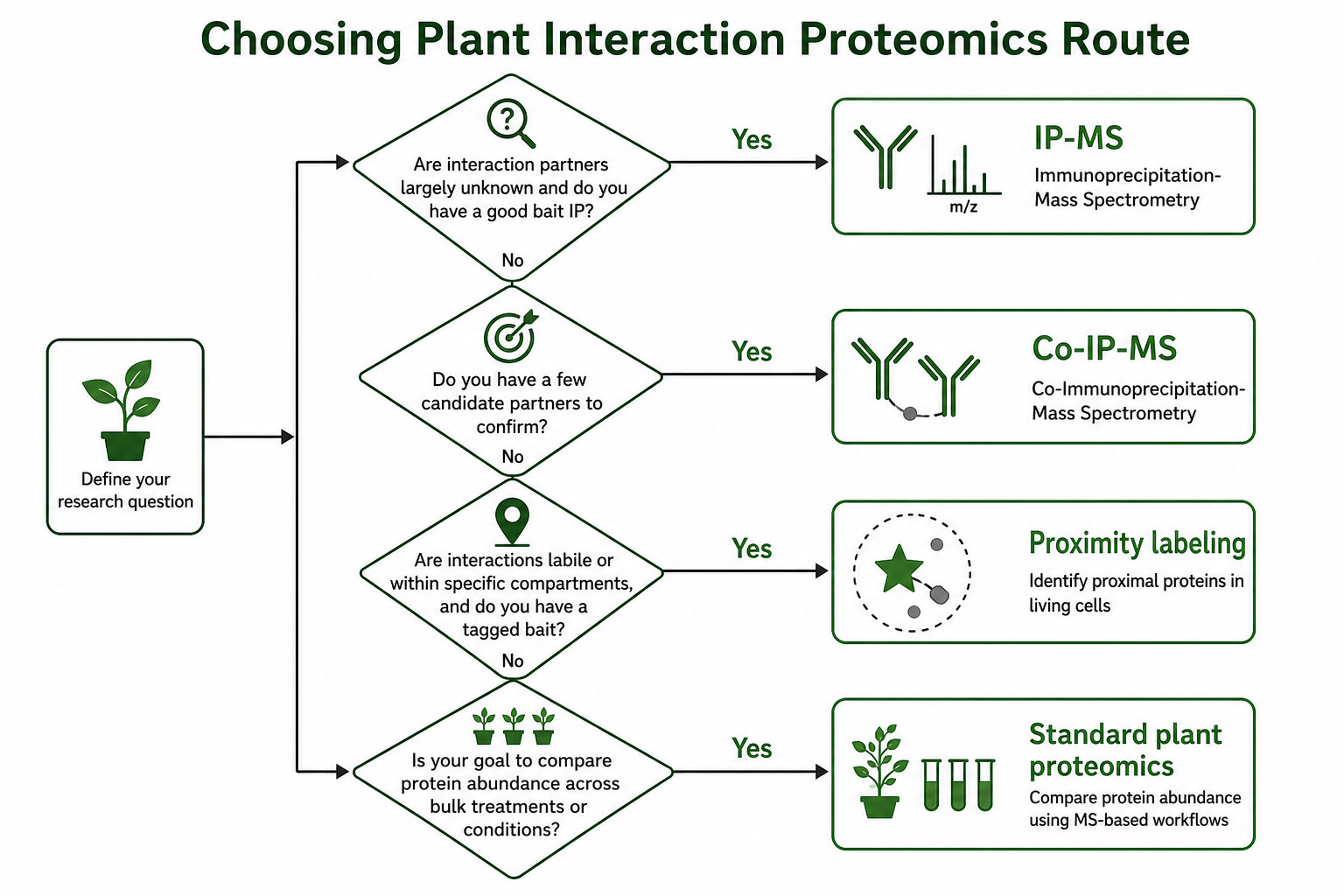 Decision path for choosing IP-MS Co-IP-MS or proximity labeling in plant interaction proteomics Decision path for choosing IP-MS Co-IP-MS or proximity labeling in plant interaction proteomics