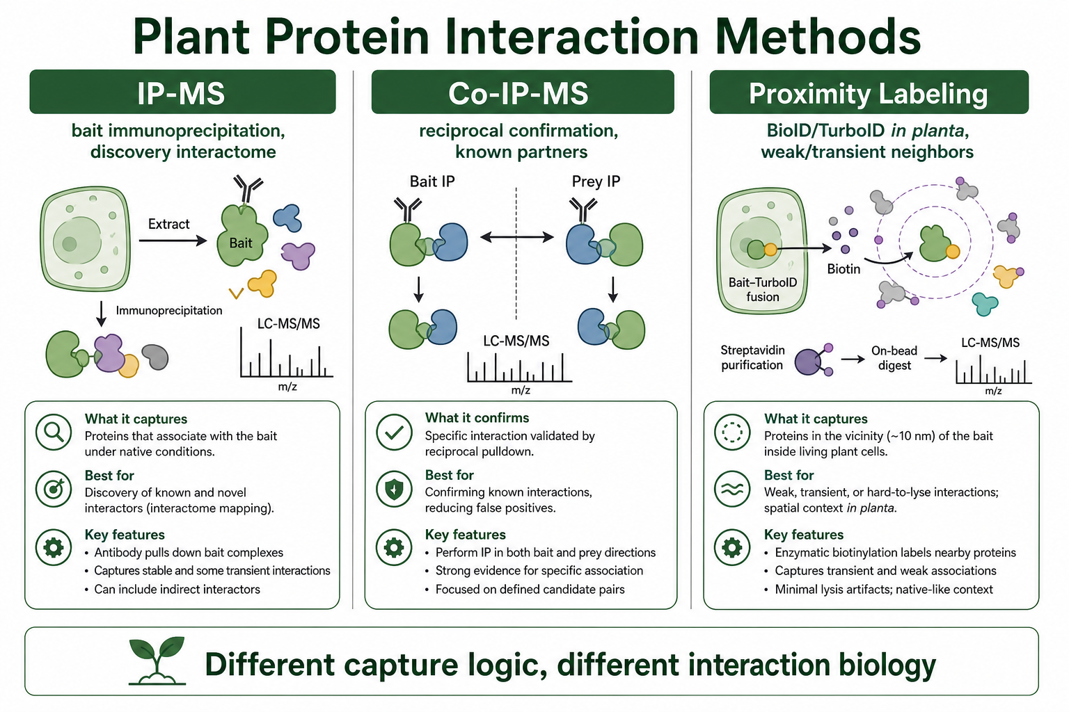 Comparison of IP-MS Co-IP-MS and proximity labeling for plant protein interaction analysis Comparison of IP-MS Co-IP-MS and proximity labeling for plant protein interaction analysis