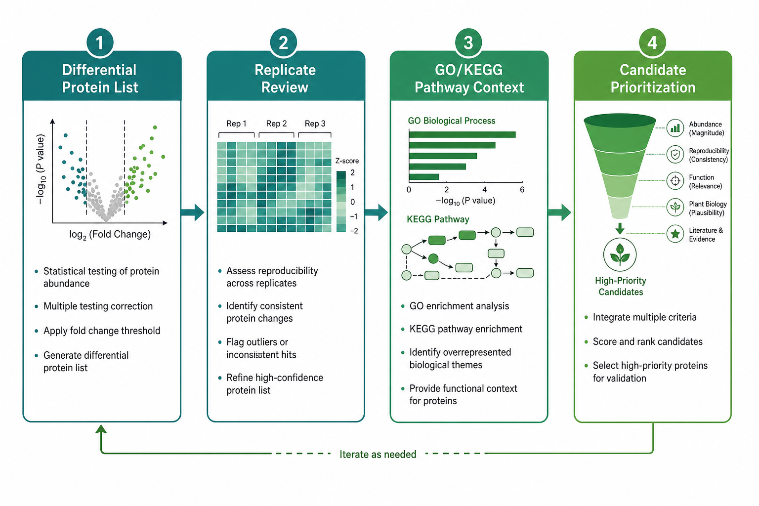 Interpretation path after plant proteomics data delivery Interpretation path after plant proteomics data delivery