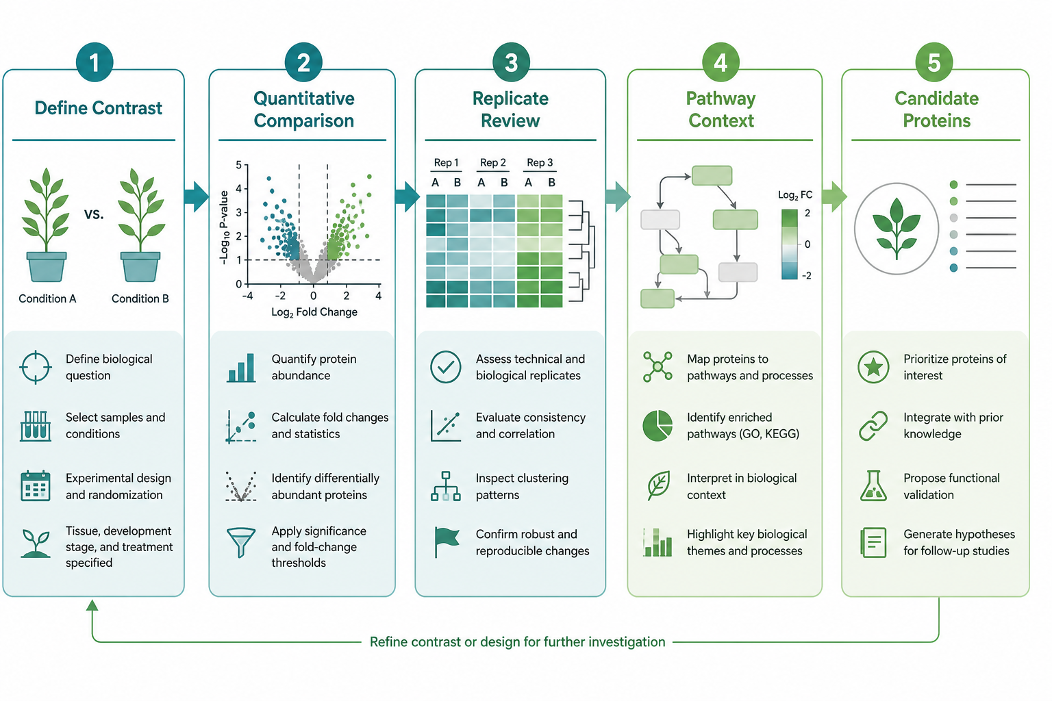 Interpretation path from plant proteomics results to trait or stress claims Interpretation path from plant proteomics results to trait or stress claims