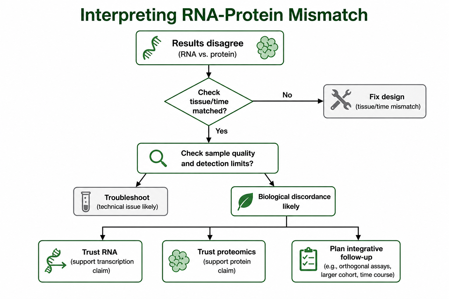 Decision path for interpreting mismatches between plant proteomics and RNA-seq results Decision path for interpreting mismatches between plant proteomics and RNA-seq results