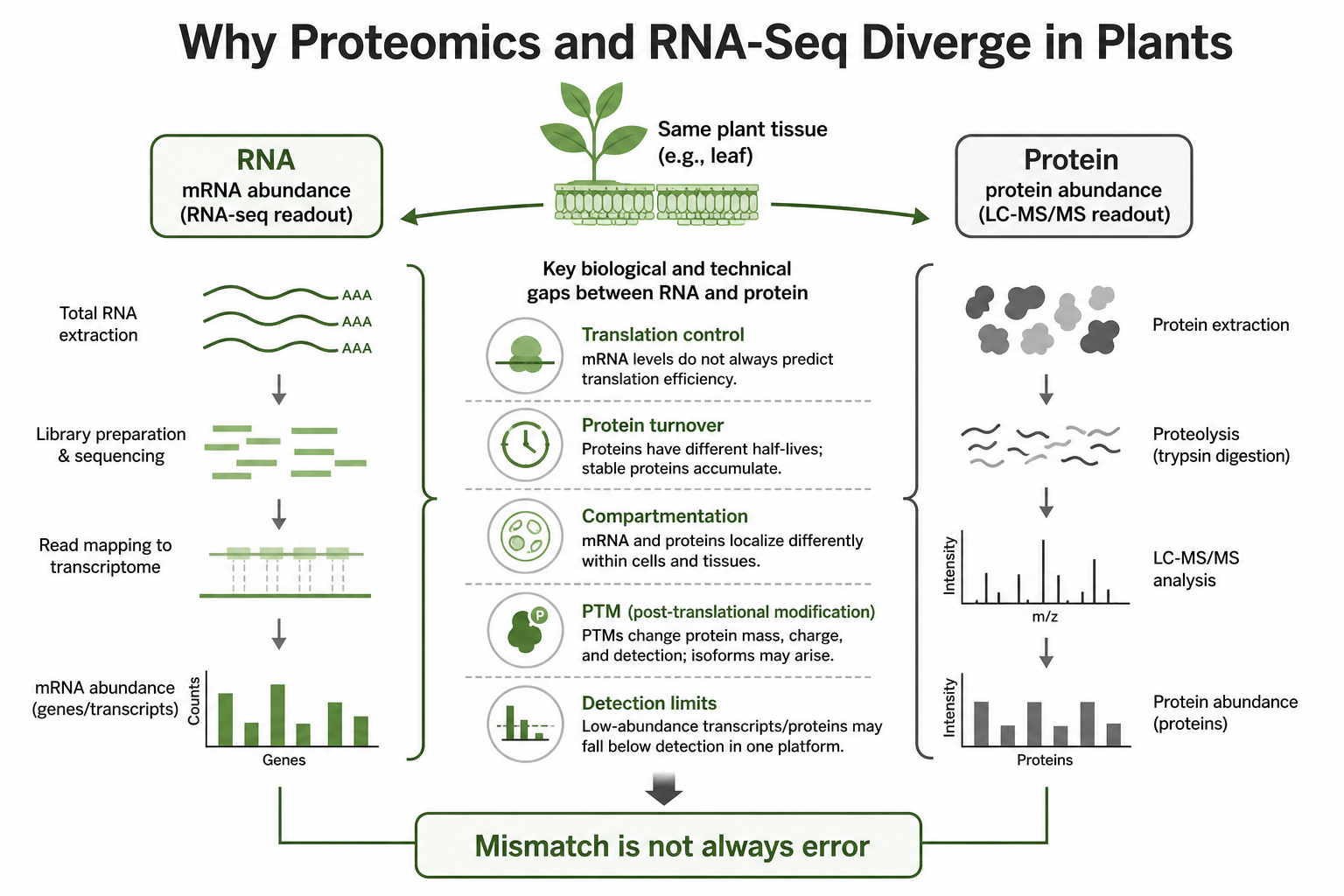 Biological and technical layers that separate plant proteomics results from RNA-seq data Biological and technical layers that separate plant proteomics results from RNA-seq data