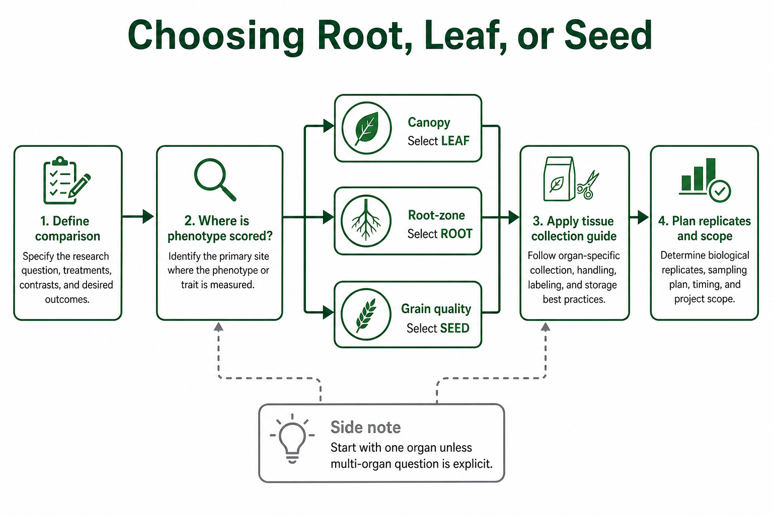 Decision path for choosing root leaf or seed samples in plant proteomics Decision path for choosing root leaf or seed samples in plant proteomics