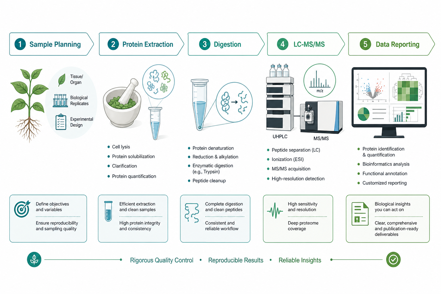 End-to-end plant proteomics workflow from sample preparation to LC-MS/MS analysis End-to-end plant proteomics workflow from sample preparation to LC-MS/MS analysis