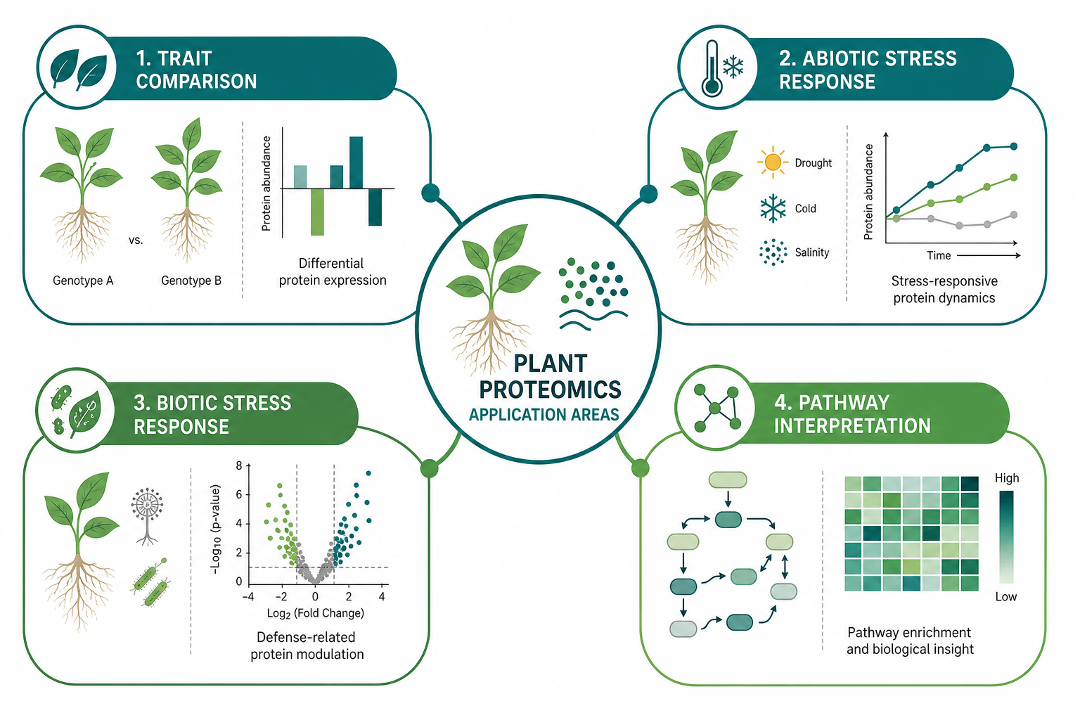 Application areas where plant proteomics supports trait and stress interpretation Application areas where plant proteomics supports trait and stress interpretation