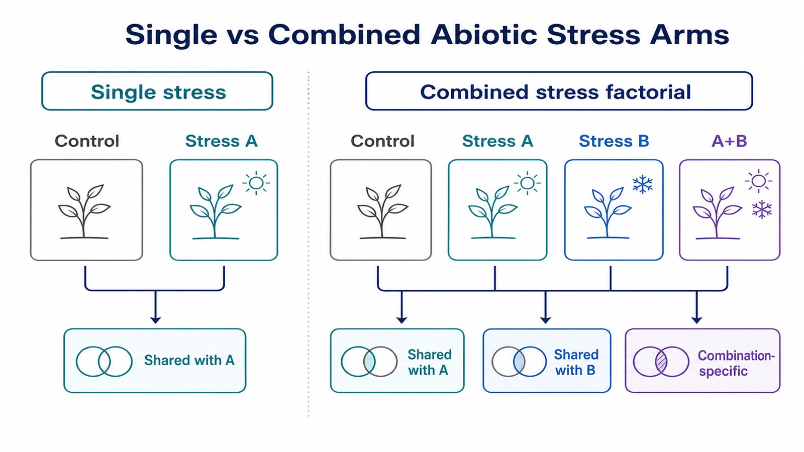 Arm layout comparing single abiotic stress with a factorial combined-stress design Arm layout comparing single abiotic stress with a factorial combined-stress design