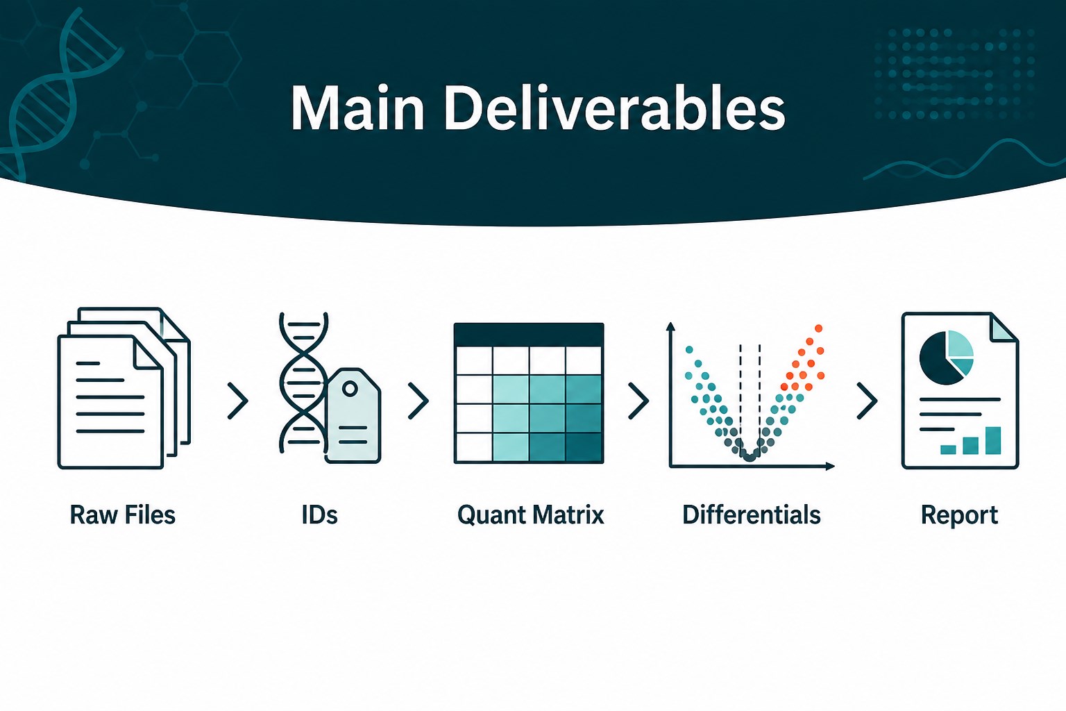 Deliverable package for a mitochondrial proteomics analysis Deliverable package for a mitochondrial proteomics analysis