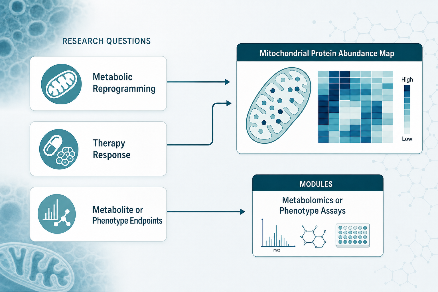 Cancer metabolism research questions mapped to mitochondrial proteomics outputs Cancer metabolism research questions mapped to mitochondrial proteomics outputs