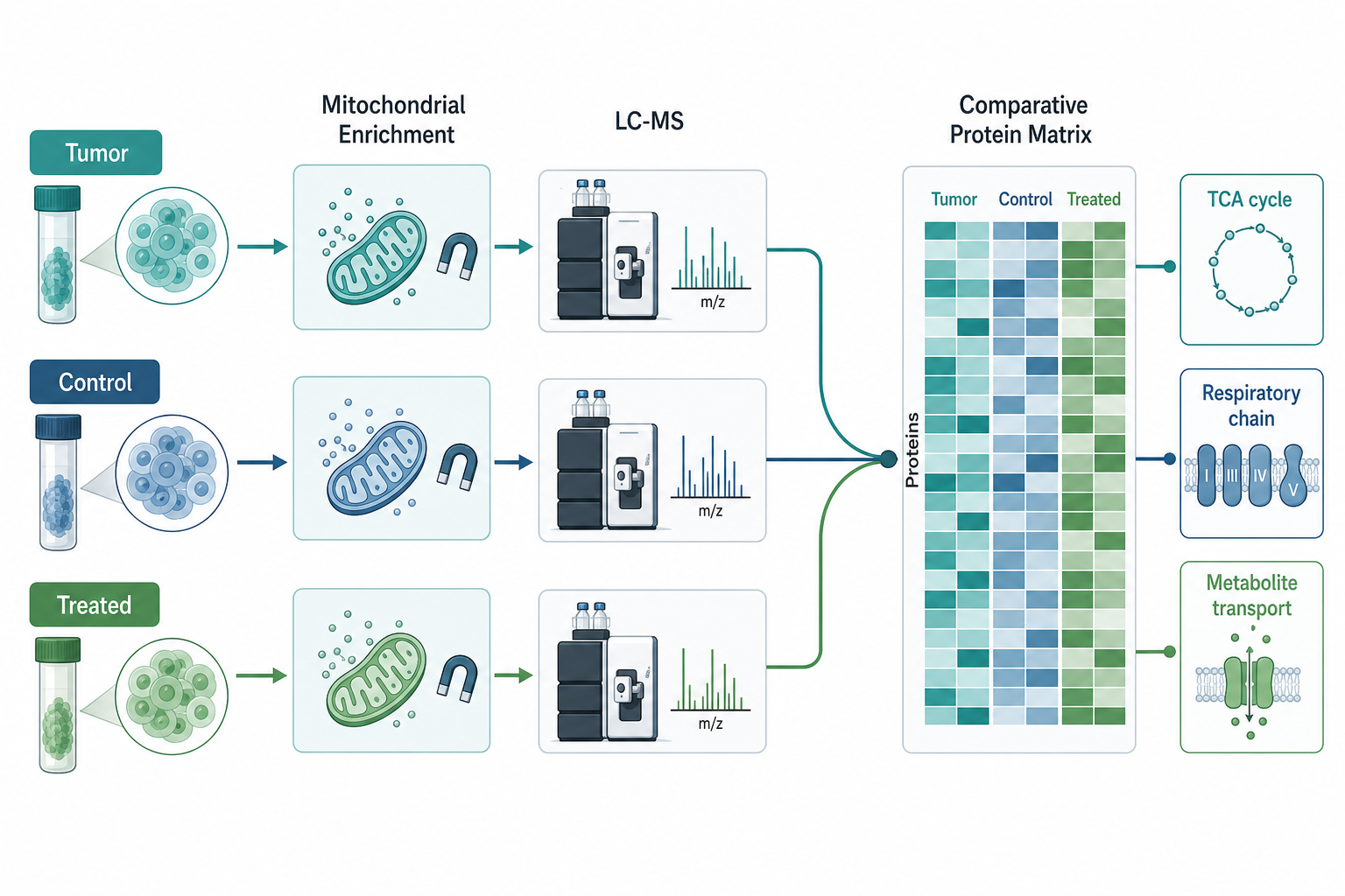 Study-arm planning for cancer metabolism mitochondrial proteomics Study-arm planning for cancer metabolism mitochondrial proteomics