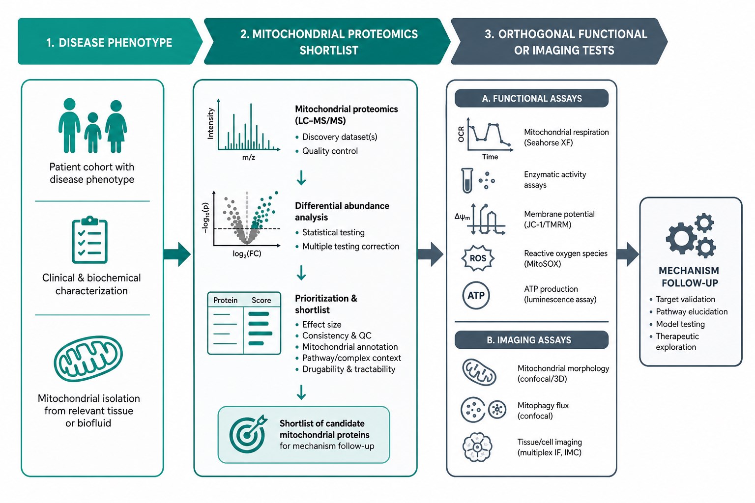 From phenotype to proteomics candidates to orthogonal mechanism tests From phenotype to proteomics candidates to orthogonal mechanism tests