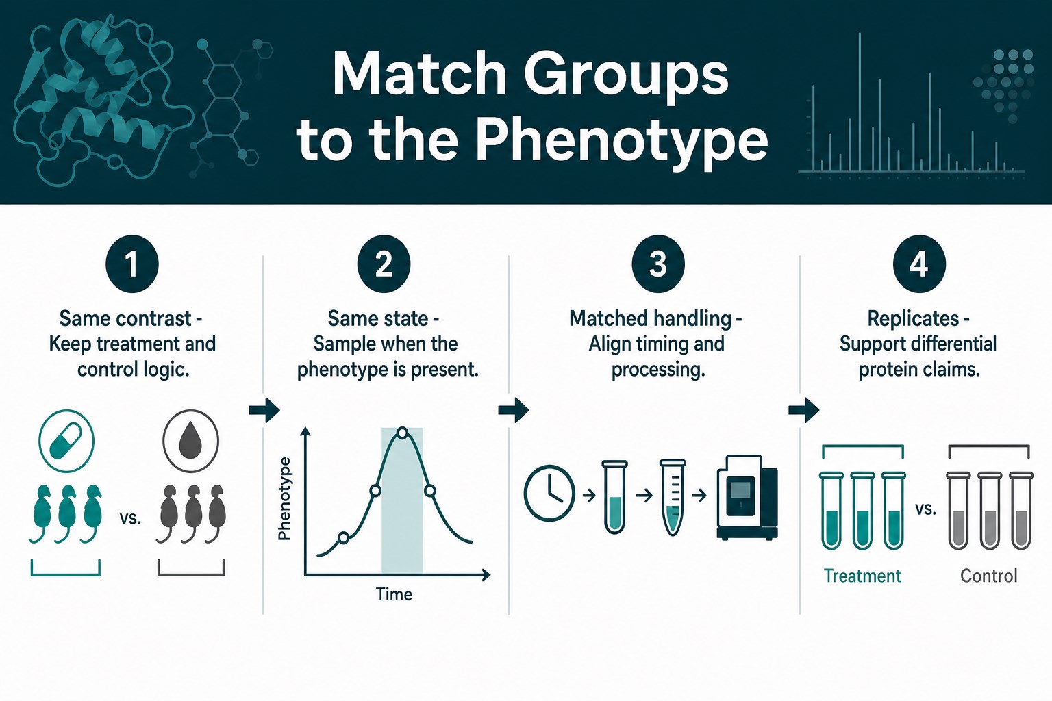 Match proteomics groups to the functional phenotype contrast Match proteomics groups to the functional phenotype contrast