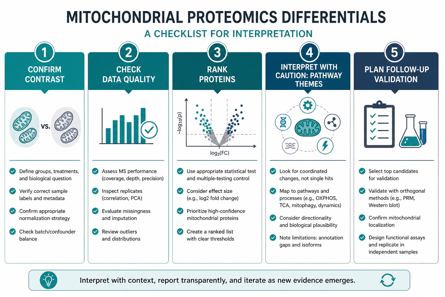 Checklist for interpreting mitochondrial proteomics differentials Checklist for interpreting mitochondrial proteomics differentials