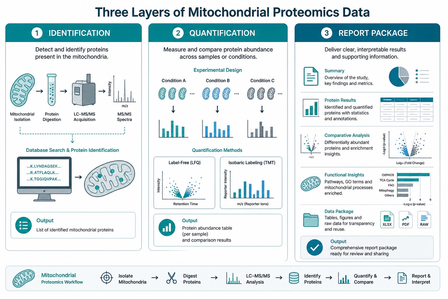 Core data layers from mitochondrial protein mass spectrometry Core data layers from mitochondrial protein mass spectrometry