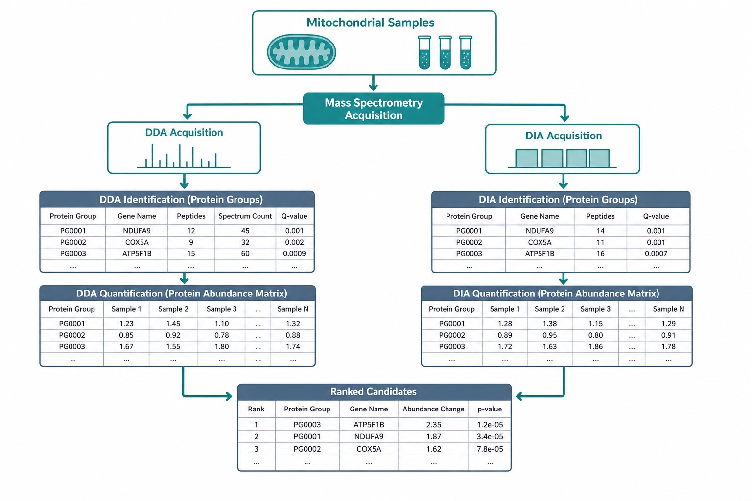 From mitochondrial samples to identification and quantitative result tables From mitochondrial samples to identification and quantitative result tables