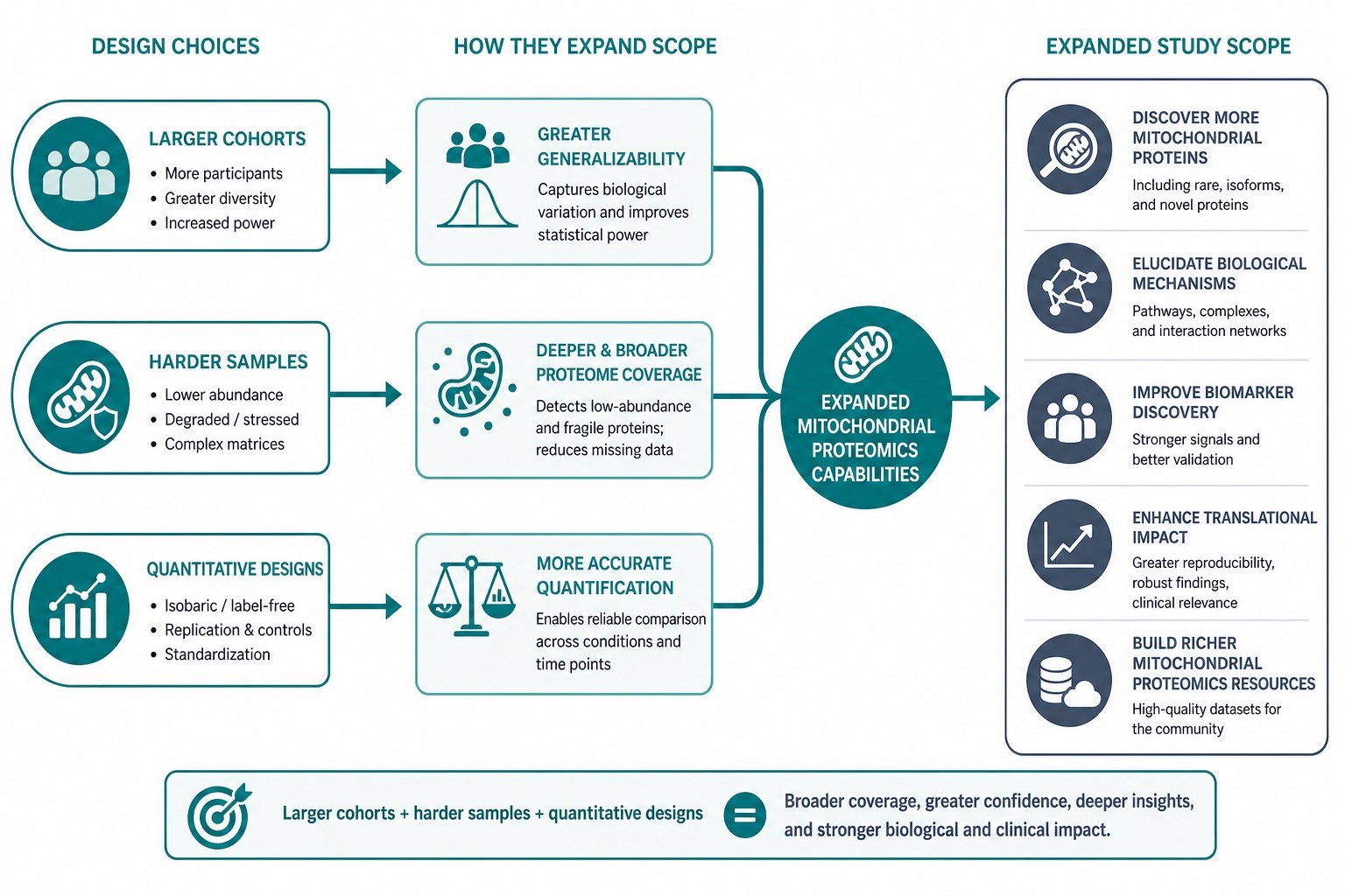 How sample and design choices change mitochondrial proteomics study scope How sample and design choices change mitochondrial proteomics study scope