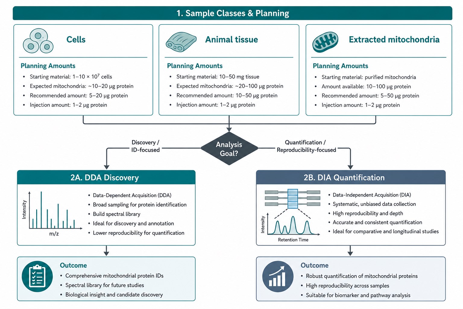 Sample and method decisions before mitochondrial protein analysis begins Sample and method decisions before mitochondrial protein analysis begins