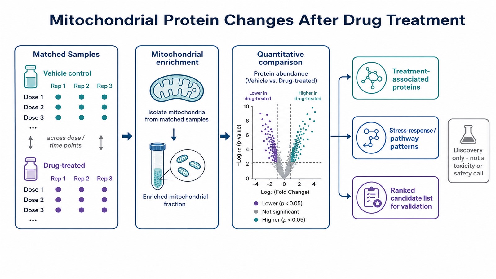 Application map showing treated and vehicle-control samples across dose or time analyzed by mitochondrial proteomics to yield differential proteins and stress-response patterns Application map showing treated and vehicle-control samples across dose or time analyzed by mitochondrial proteomics to yield differential proteins and stress-response patterns