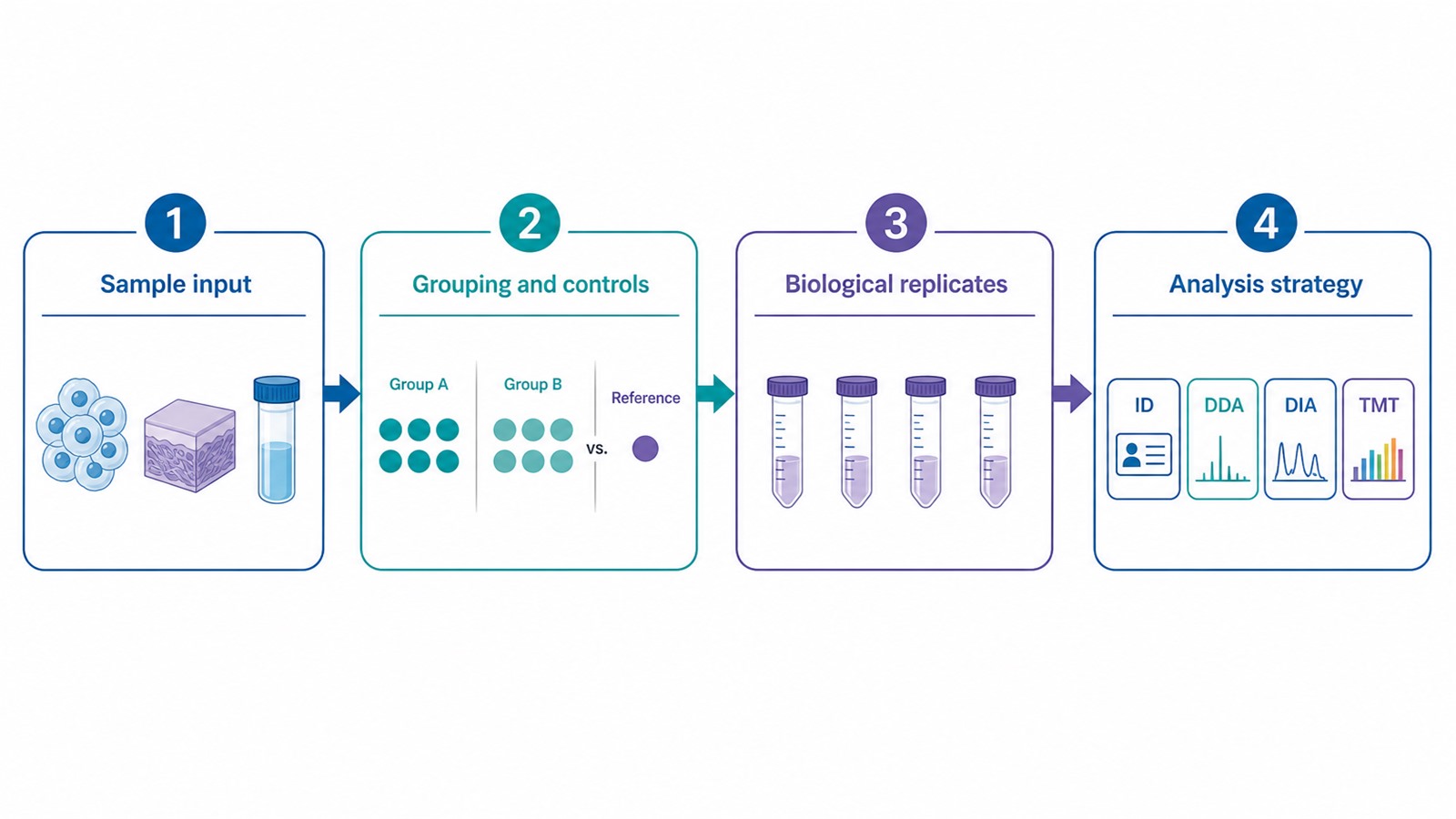 Diagram of a mitochondrial proteomics study design pipeline from sample input through grouping and replication to analysis strategy