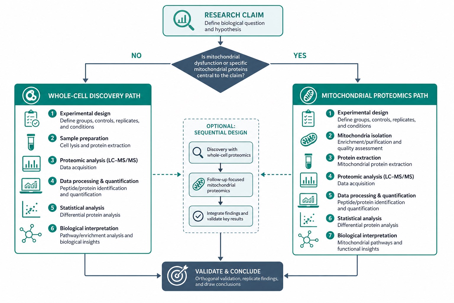 Workflow for choosing whole-cell or mitochondrial proteomics Workflow for choosing whole-cell or mitochondrial proteomics