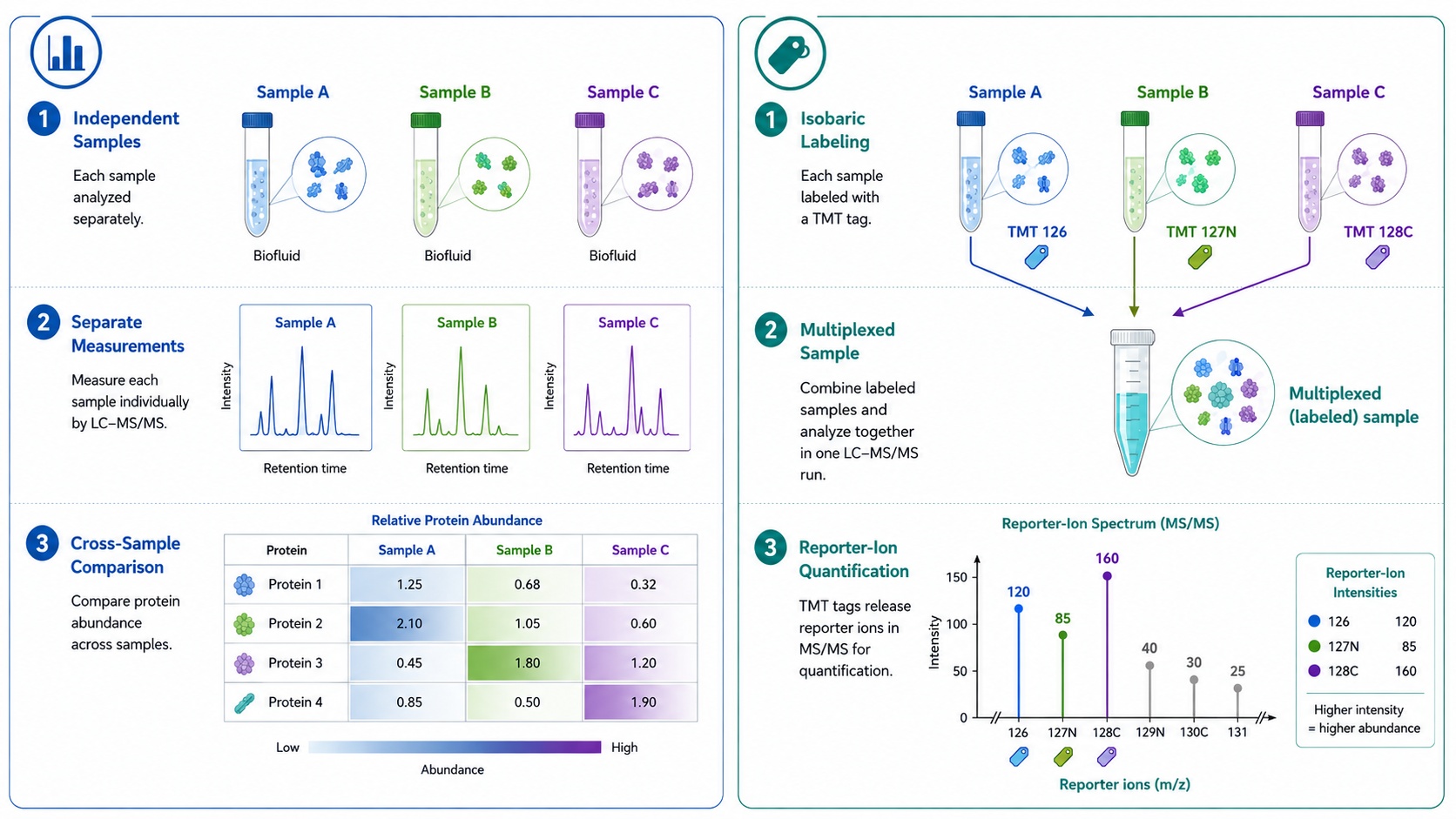 tmt-vs-label-free-quantification-for-biofluid-proteomics-multiplexing-batch-design-and-sample-input1.jpg