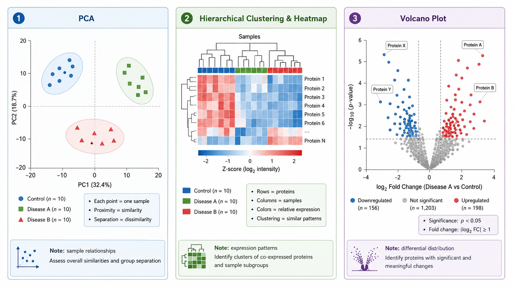 how-to-read-biofluid-proteomics-results-differential-proteins-visualizations-and-pathways2.jpg