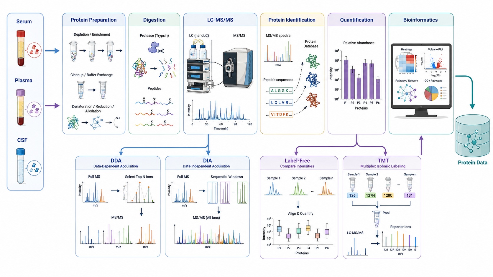 serum-plasma-and-csf-proteomics-from-biofluid-samples-to-biological-insights2.jpg