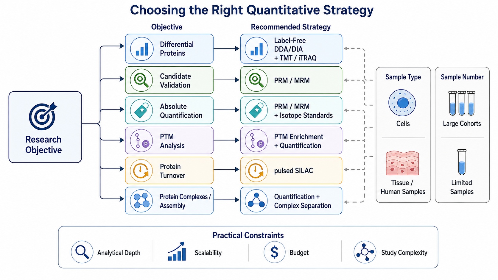 Decision framework for selecting a mitochondrial proteomics quantification strategy based on research objective and practical constraints.