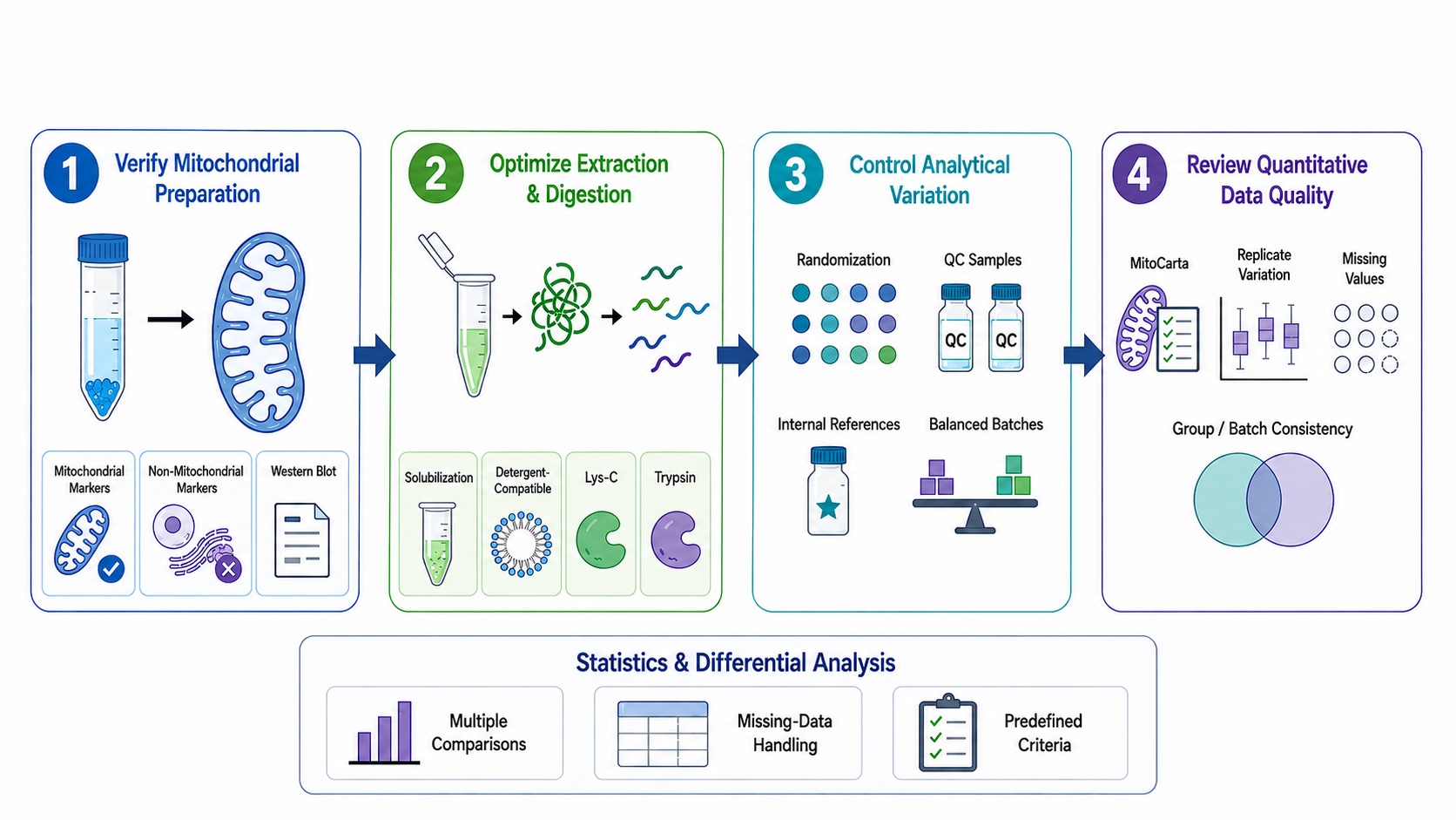 Workflow showing mitochondrial preparation, protein extraction, analytical variation control, and quantitative data QC.