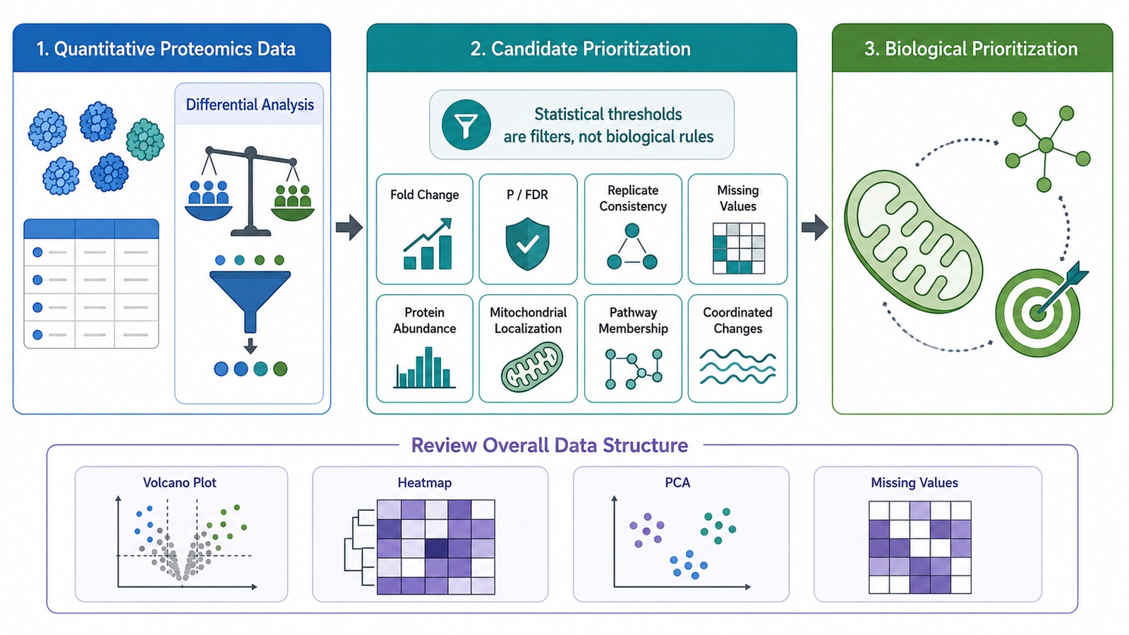 Differential protein prioritization using statistical and mitochondrial relevance criteria.