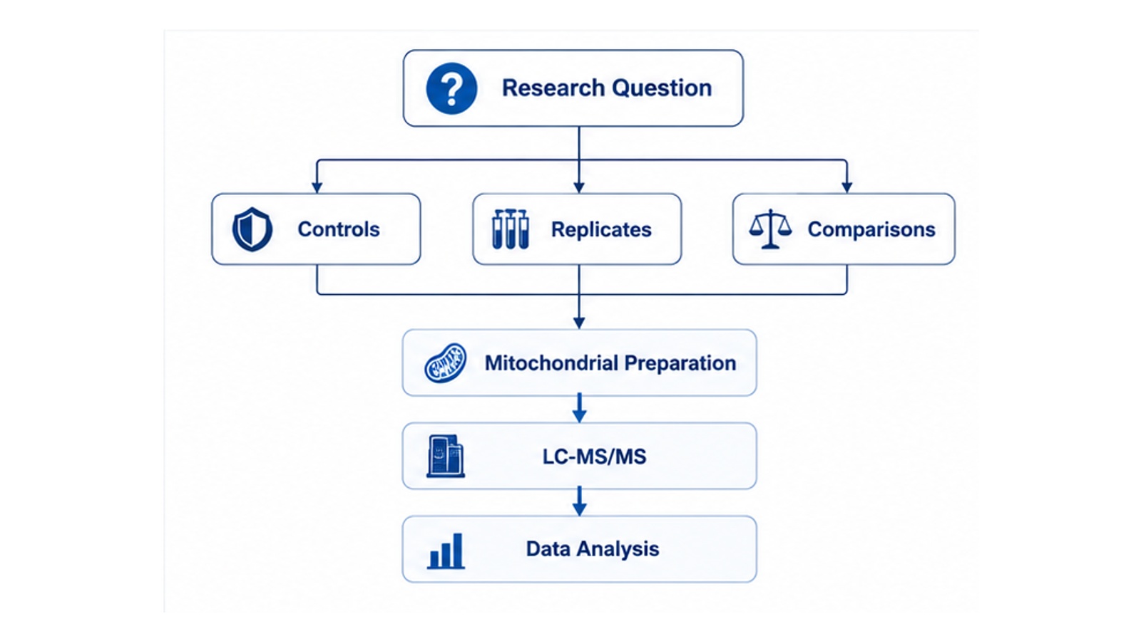 2090740545435553792-mitochondrial-proteomics-study-design-framework.jpg
