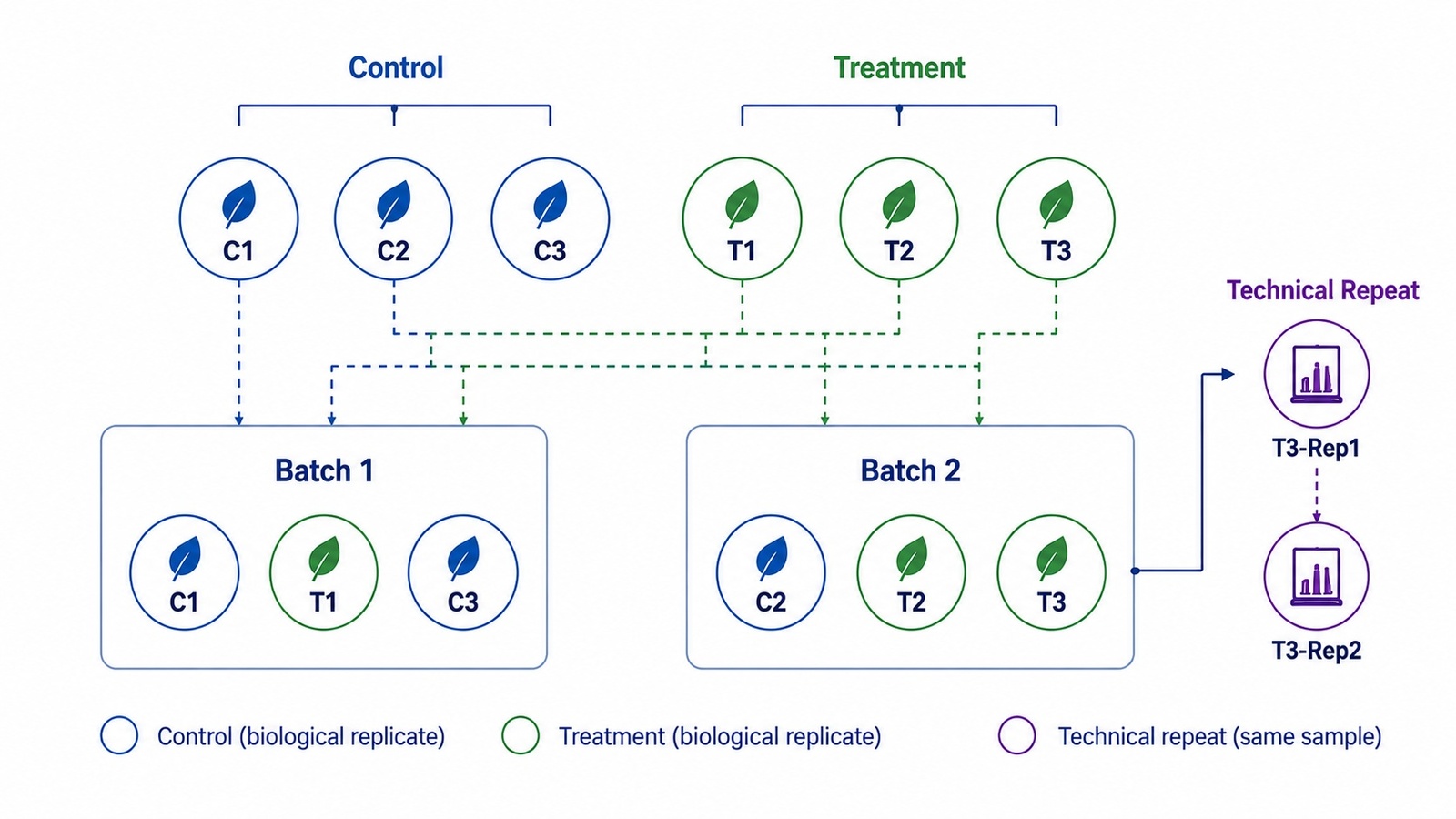 2090740689988046848-mitochondrial-proteomics-replicates-batch-design.jpg