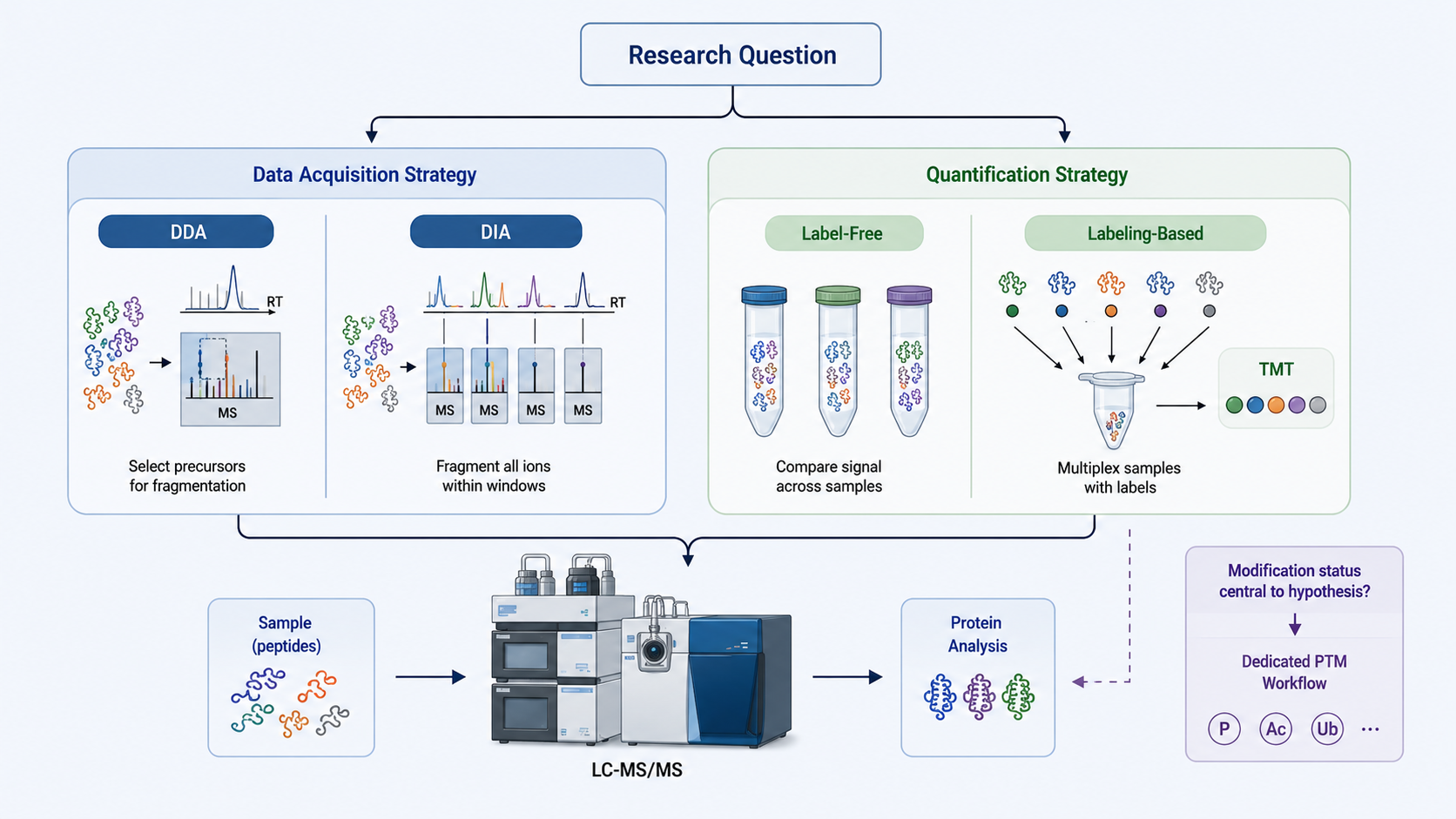 2091716961421578240-choosing-a-mitochondrial-proteomics-strategy.png