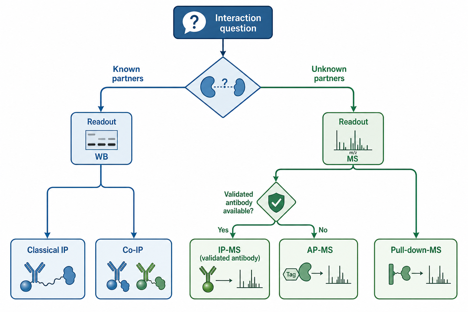 Decision path after IP-MS failure: optimize, switch antibody, or change workflow
