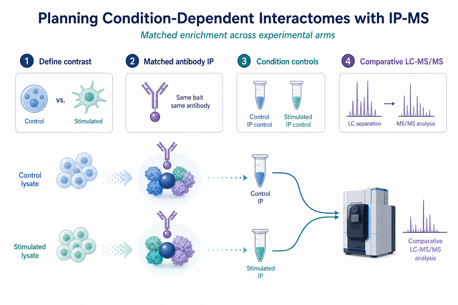 Condition-dependent IP-MS design for pathway interaction studies across stimulation inhibitor or genotype contrasts Condition-dependent IP-MS design for pathway interaction studies across stimulation inhibitor or genotype contrasts