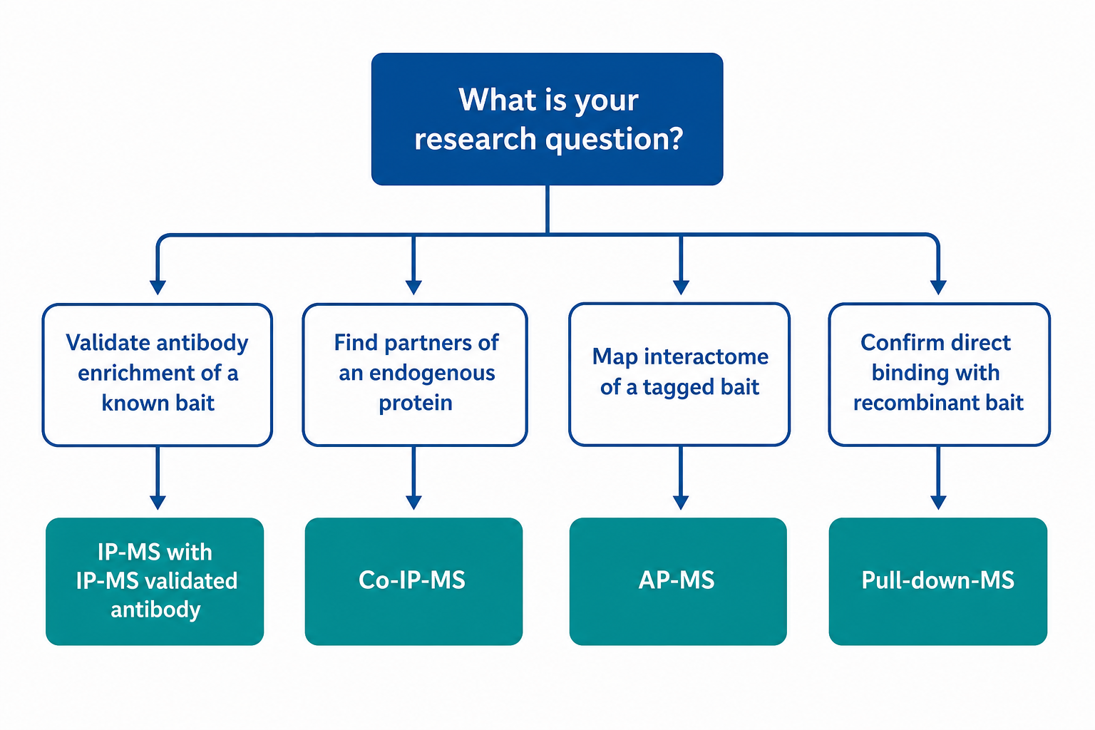 Workflow decision among Co-IP-MS AP-MS and related interaction services for PI3K-AKT pathway studies Workflow decision among Co-IP-MS AP-MS and related interaction services for PI3K-AKT pathway studies