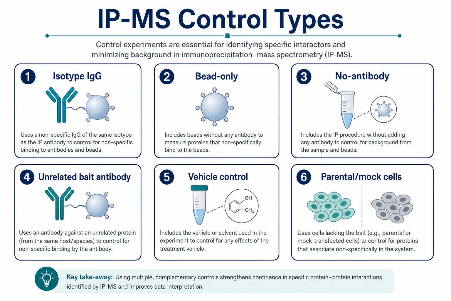 Control types help separate antibody-associated background from bead, matrix, and lysate carryover in IP-MS Control types help separate antibody-associated background from bead, matrix, and lysate carryover in IP-MS