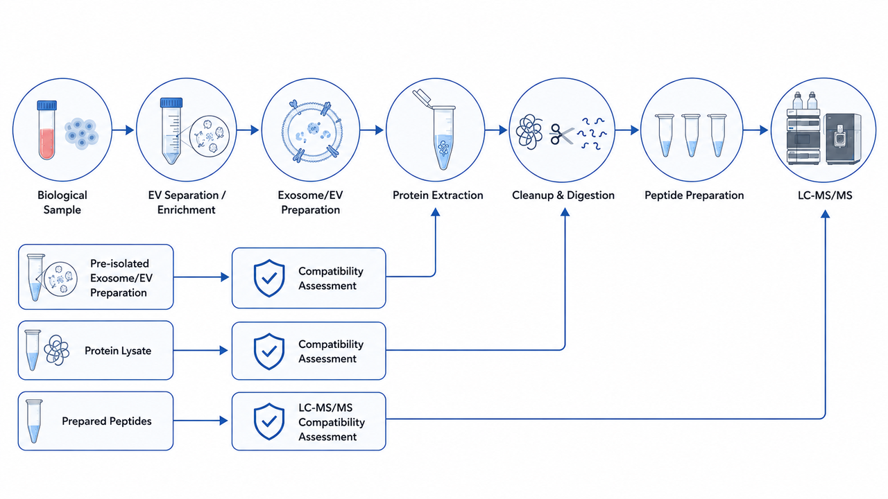 exosome-proteomics-sample-preparation-and-lc-msms-compatibility1.jpg