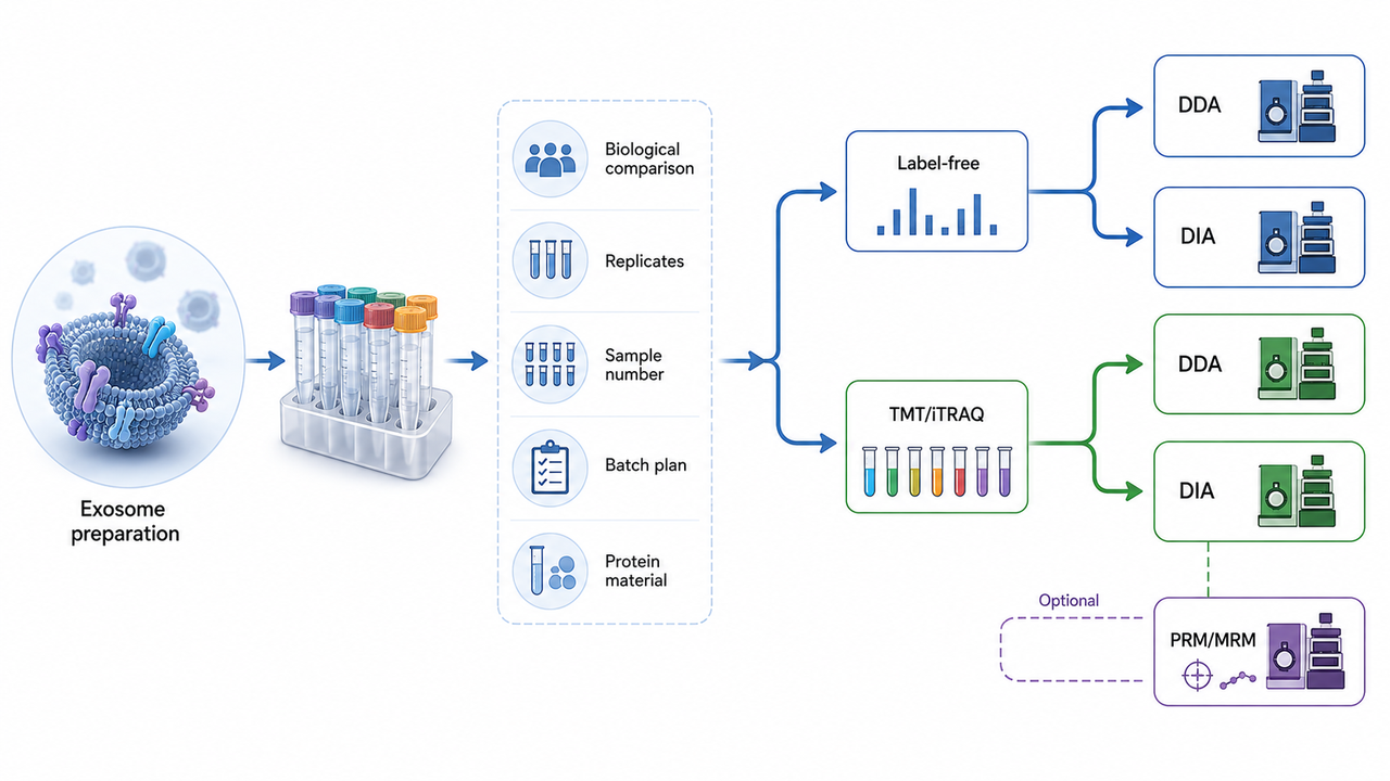 how-to-choose-a-quantitative-strategy-for-exosome-proteomics1.jpg