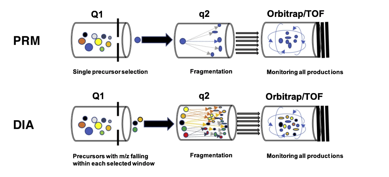 2101606841433296896-Figure1.ThePrincipleofDIAandPRM.png