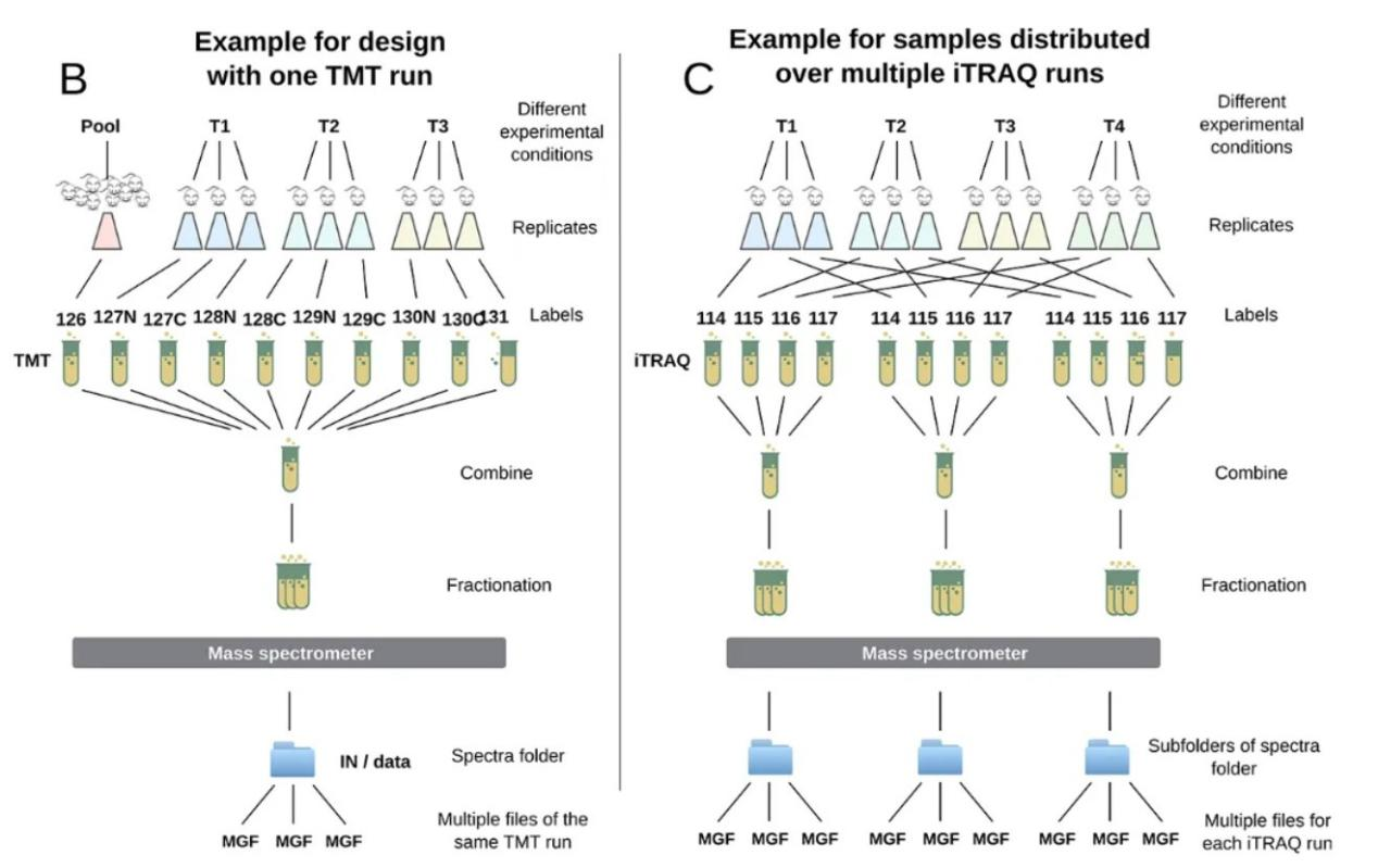 2101907482319884288-Figure2.SchemeoftheEntireWorkflowforiTRAQandTMT.png