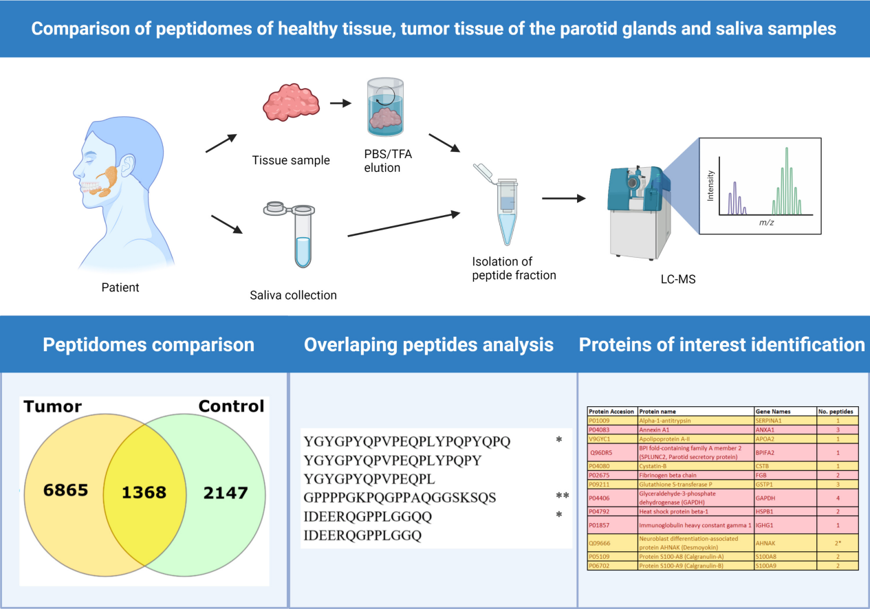2101947168828526592-Figure1.PeptideExpressionComparisonAcrossTumorandHealthyTissueSamples.png