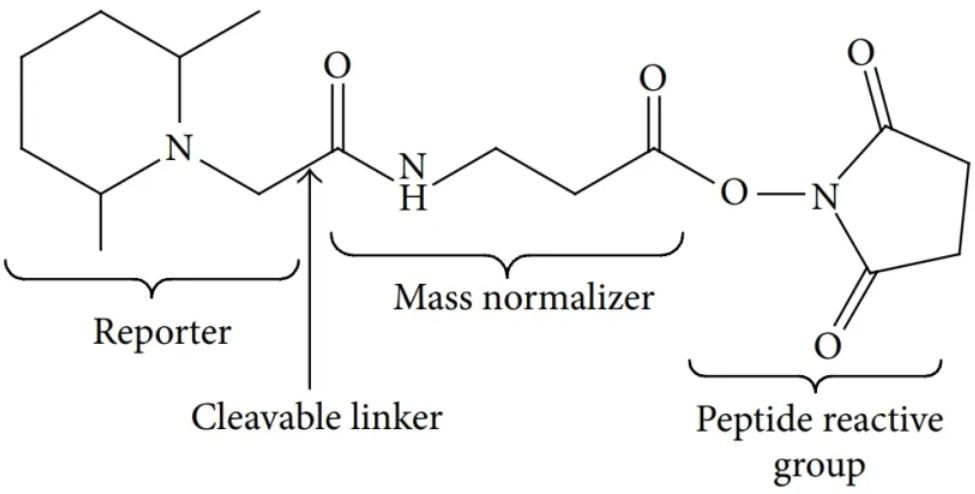 2102636767653498880-Figure1.ChemicalStructureofTMTTags.png