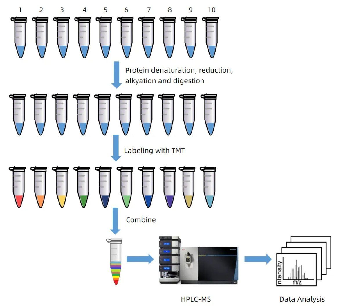 2102637425265840128-Figure2.WorkflowforRelativeQuantificationUsing10plexTMT.png