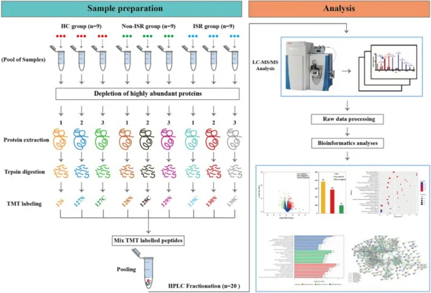 2102645403364724736-Figure2.TMTMassSpectrometryServiceProcess.png
