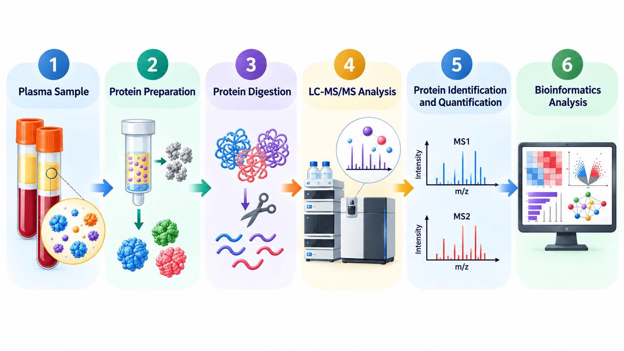 plasma-proteomics-workflow-sample-requirements-and-research-applications-2