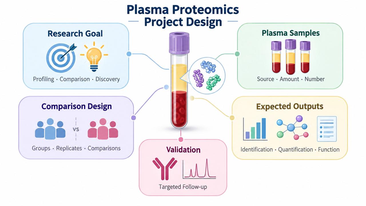 plasma-proteomics-workflow-sample-requirements-and-research-applications-3