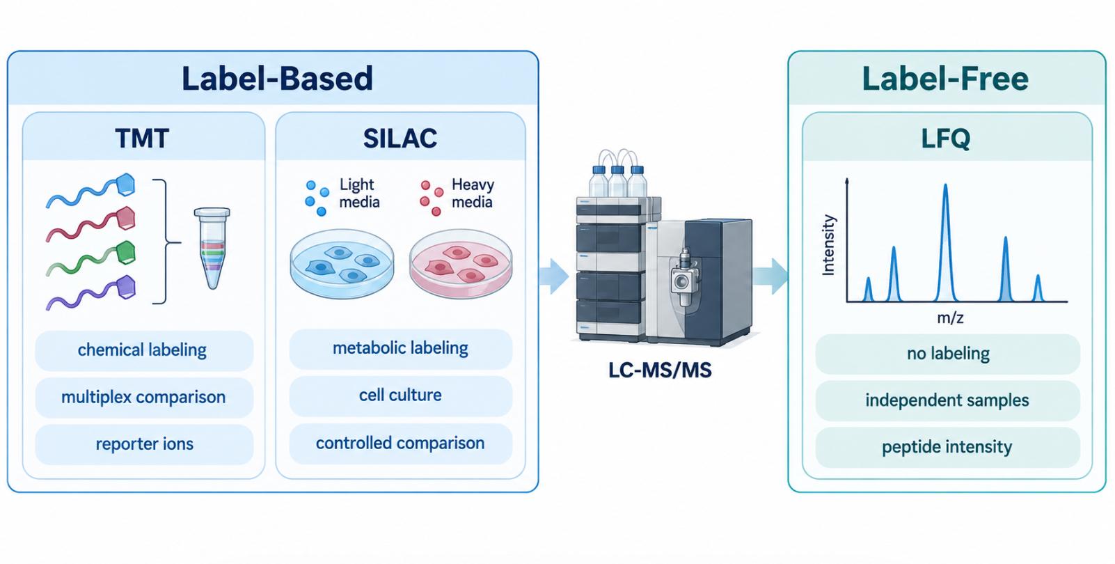 Comparison of label-based and label-free quantitative proteomics strategies including TMT, SILAC, and LFQ