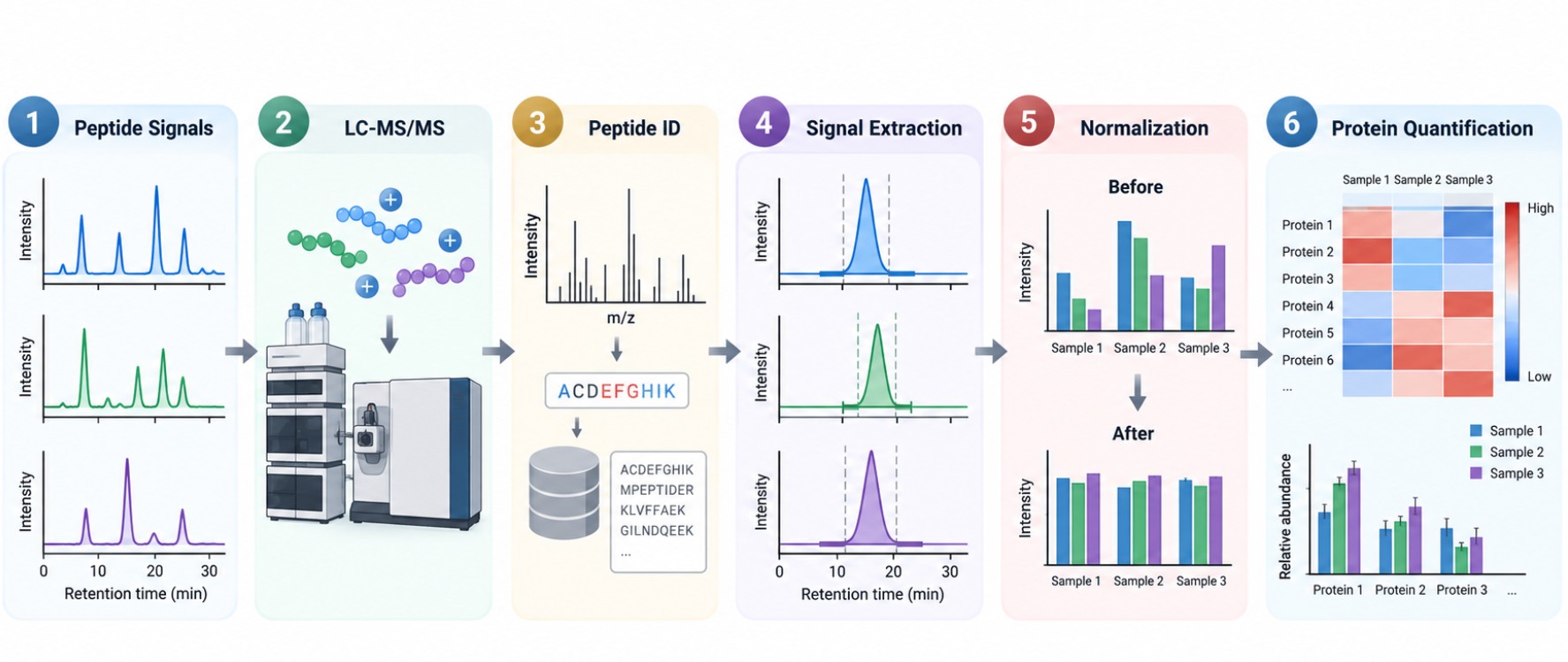 LFQ workflow illustrating LC-MS/MS analysis, peptide identification, signal extraction, normalization, and relative protein abundance quantification.